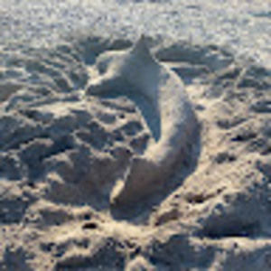 Meet your Posher, Itiel